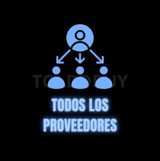 Todos los Proveedores